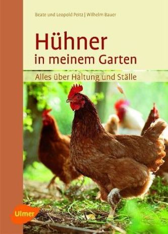Hühner in meinem Garten