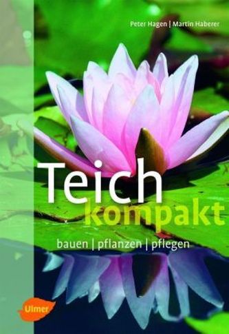 Teich kompakt