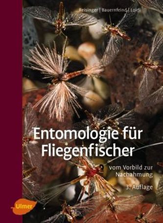 Entomologie für Fliegenfischer
