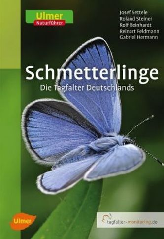 Schmetterlinge