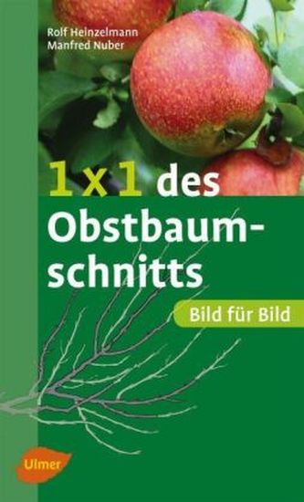 1 x 1 des Obstbaumschnitts