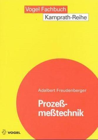 Prozeßmeßtechnik