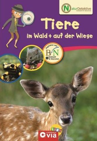 Tiere im Wald + auf der Wiese