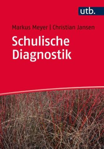 Schulische Diagnostik