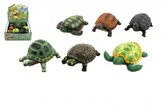 Želva plast/guma 11cm - 1 kus