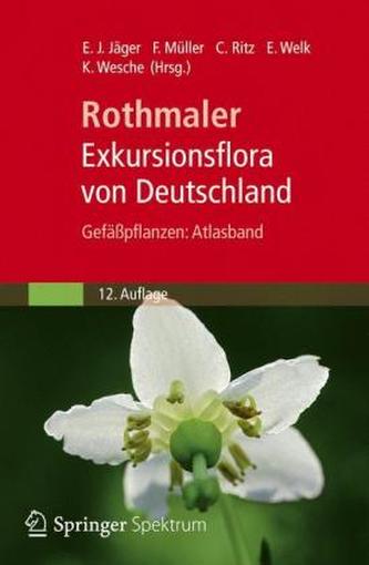 Gefäßpflanzen, Atlasband