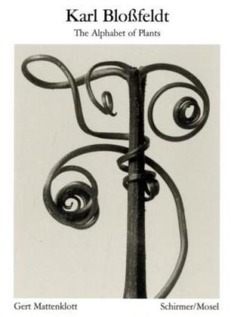 The Alphabet of Plants