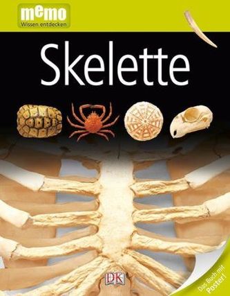 Skelette