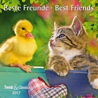 Beste Freunde / Best Friends 2017