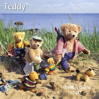 Teddy 2017 Teddy 2017