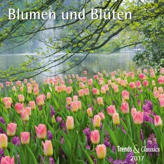 Blumen und Blüten 2017 Blumen und Blüten 2017