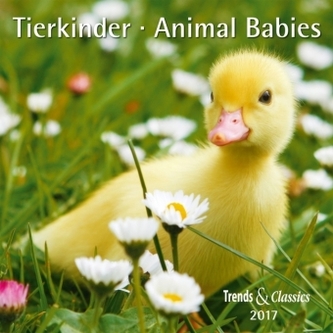 Tierkinder / Animal Babies 2017 Tierkinder / Animal Babies 2017