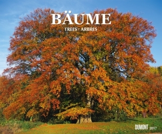 Bäume 2017 Bäume 2017