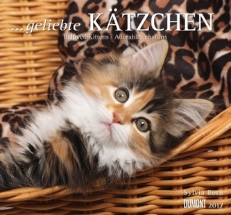 ... geliebte Kätzchen 2017
