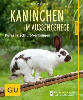 Kaninchen im Außengehege Kaninchen im Außengehege
