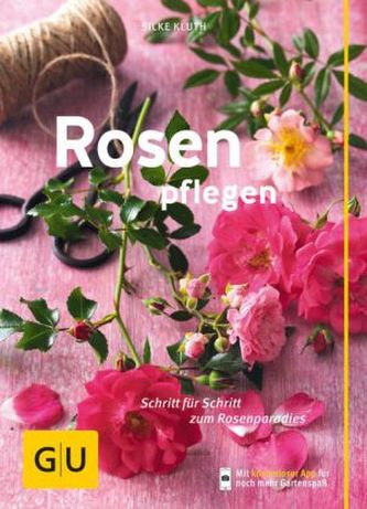 Rosen pflegen