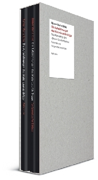 Die Aufzeichnungen des Malte Laurids Brigge, 2 Bde. Die Aufzeichnungen des Malte Laurids Brigge, 2 Bde.