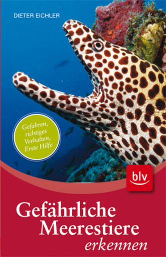 Gefährliche Meerestiere erkennen