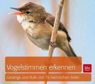 Vogelstimmen erkennen, Audio-CD
