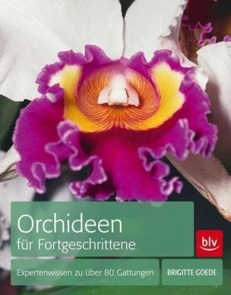 Orchideen für Fortgeschrittene