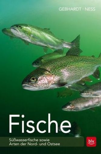 Fische
