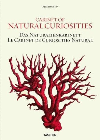 Das Naturalienkabinett. Cabinet of Natural Curiosities. Le Cabinet des Curiosités naturelles