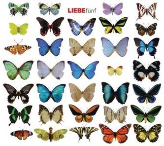 LIEBE 5, 1 Audio-CD