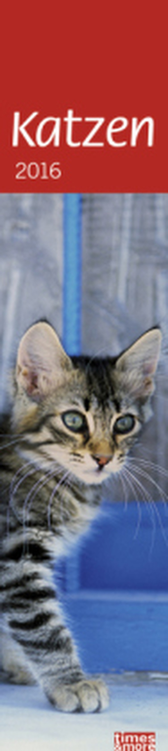 Katzen long 2016
