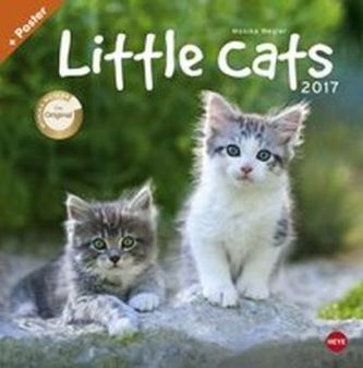 Little Cats Broschurkalender 2017