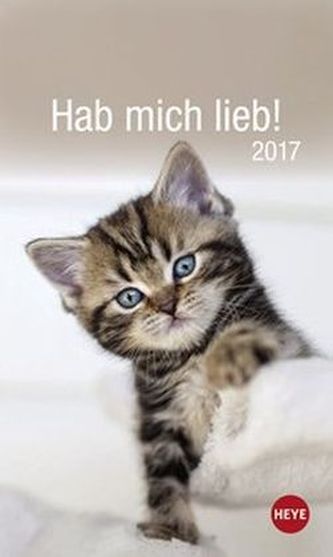 Hab mich lieb! Katzen 2017