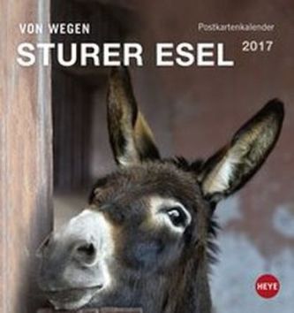Esel Postkartenkalender 2017