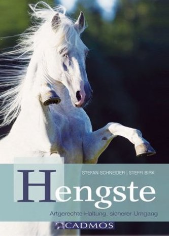 Hengste Hengste