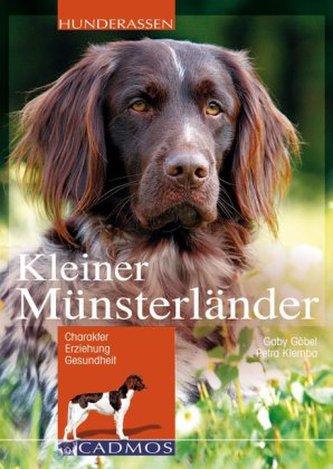 Kleiner Münsterländer