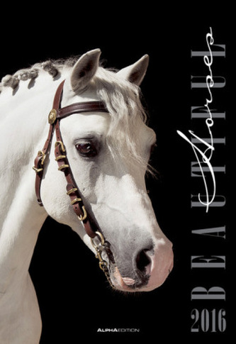 Beautiful Horses 2016