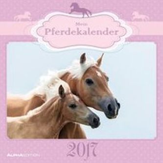Mein Pferdekalender 2017