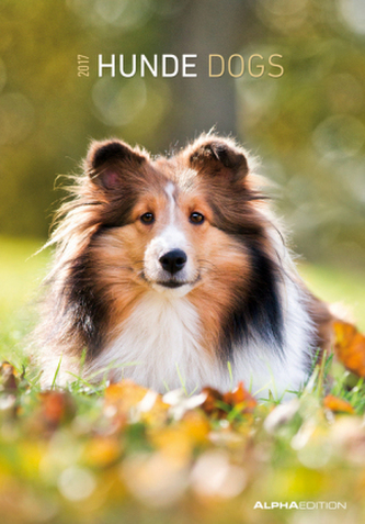 Hunde / Dogs 2017