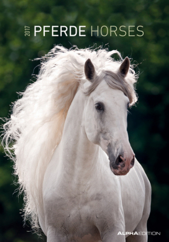 Pferde / Horses 2017