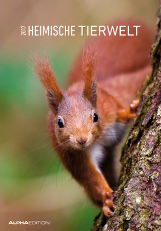 Heimische Tierwelt 2017