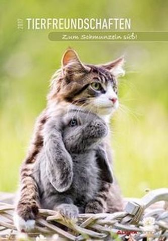 Tierfreundschaften 2017