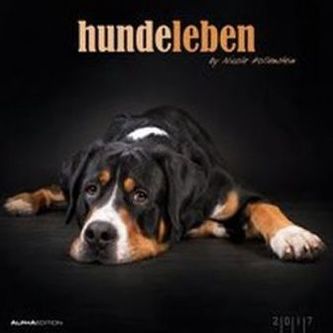 Hundeleben 2017
