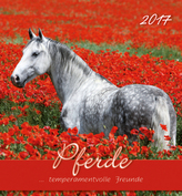 Pferde 2017, Postkartenkalender