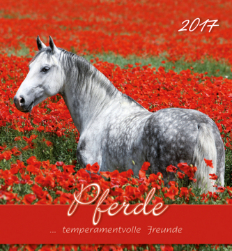 Pferde 2017, Postkartenkalender