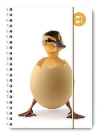 Collegetimer A5 Chick 2016/2017 - Ringbuch