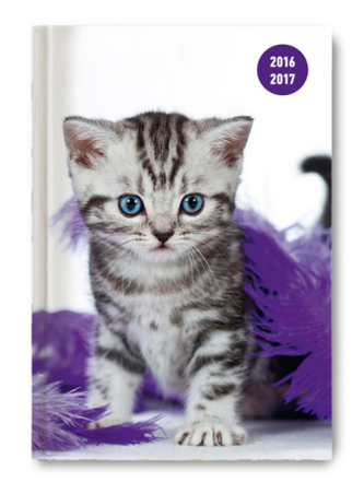 Collegetimer A5 day by day Cat 2016/2017