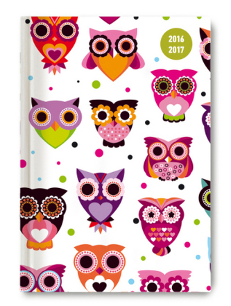 Collegetimer A6 day by day Owls 2016/2017