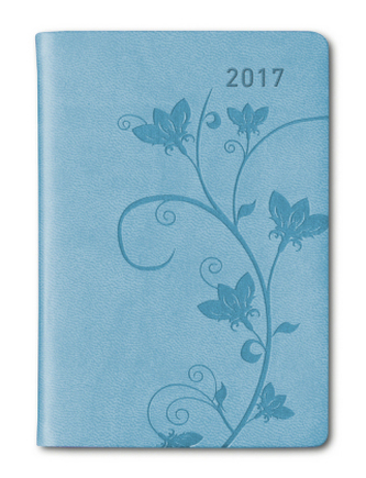 Ladytimer Mini Deluxe Sky 2017