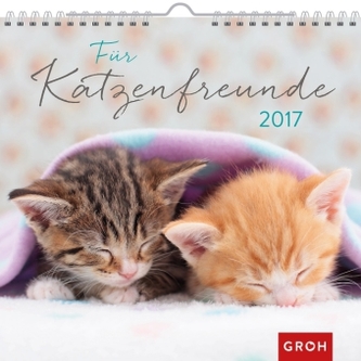Für Katzenfreunde 2017