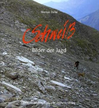 Schweiß - Bilder der Jagd