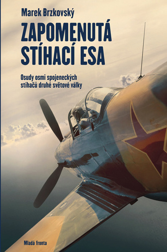 Zapomenutá stíhací esa - Osudy osmi spojeneckých stíhačů druhé světové války Zapomenutá stíhací esa - Osudy osmi spojeneckých stíhačů druhé světové války