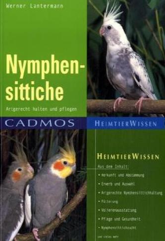 Nymphensittiche